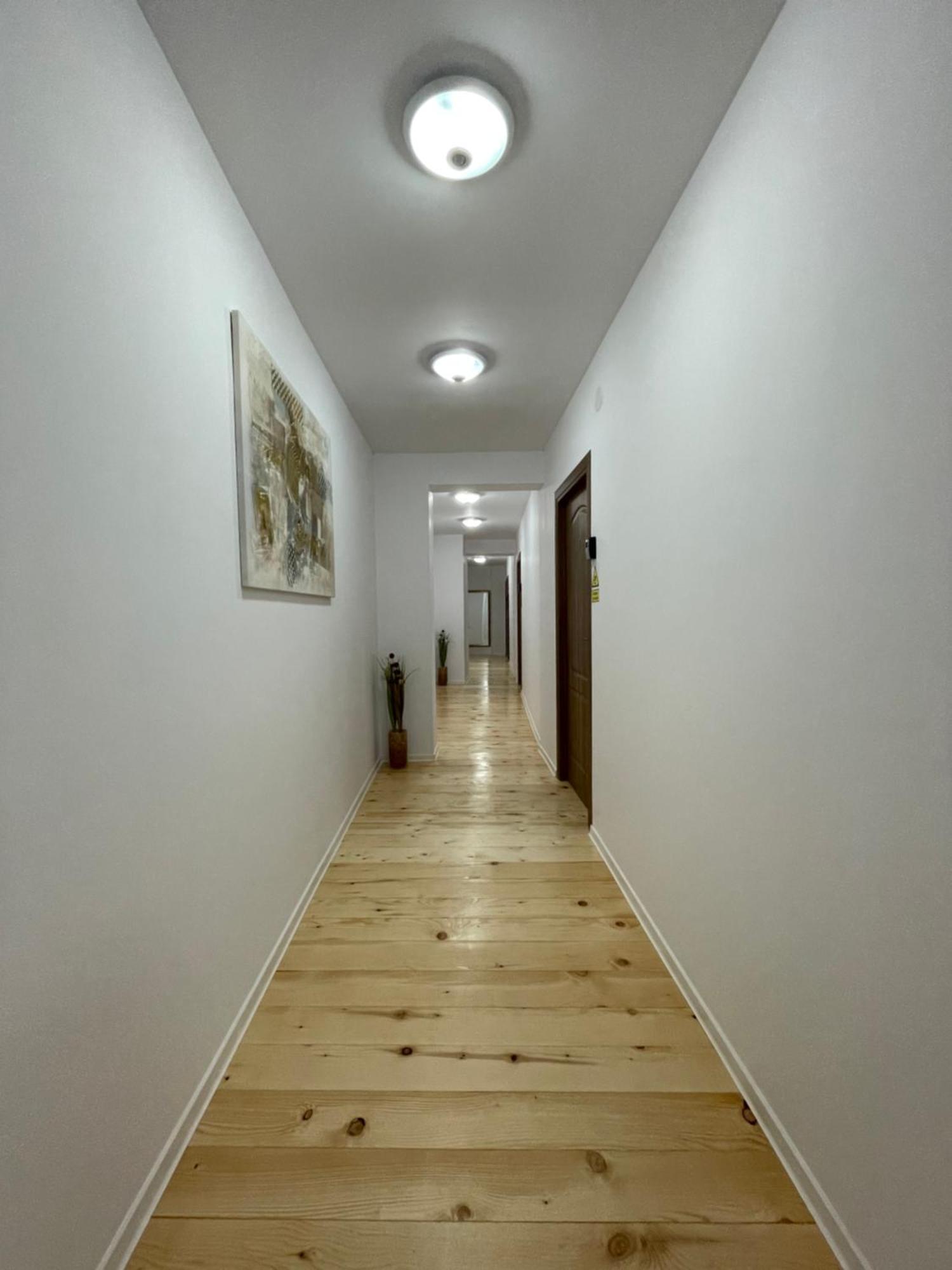 Schei Central Studios In The Heart Of Braşov Esterno foto